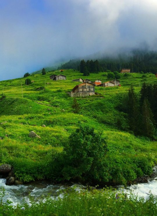 Rize